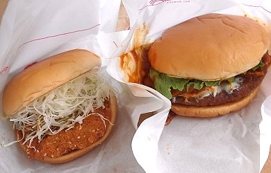 モス_南部鶏とチリ.jpg