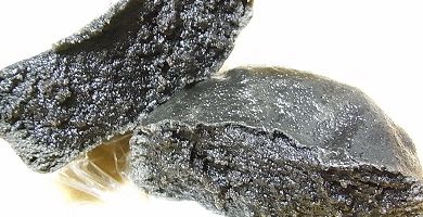 黒丸.jpg