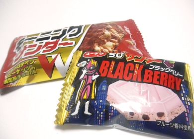 モーニングサンダー&ブラックベリーちびサンダー.jpg