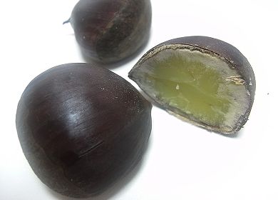 栗を茹でました.jpg